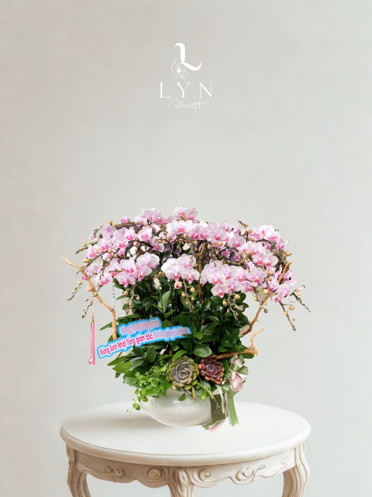 Chậu Hoa Lan Mini Trắng Hồng 20 cành